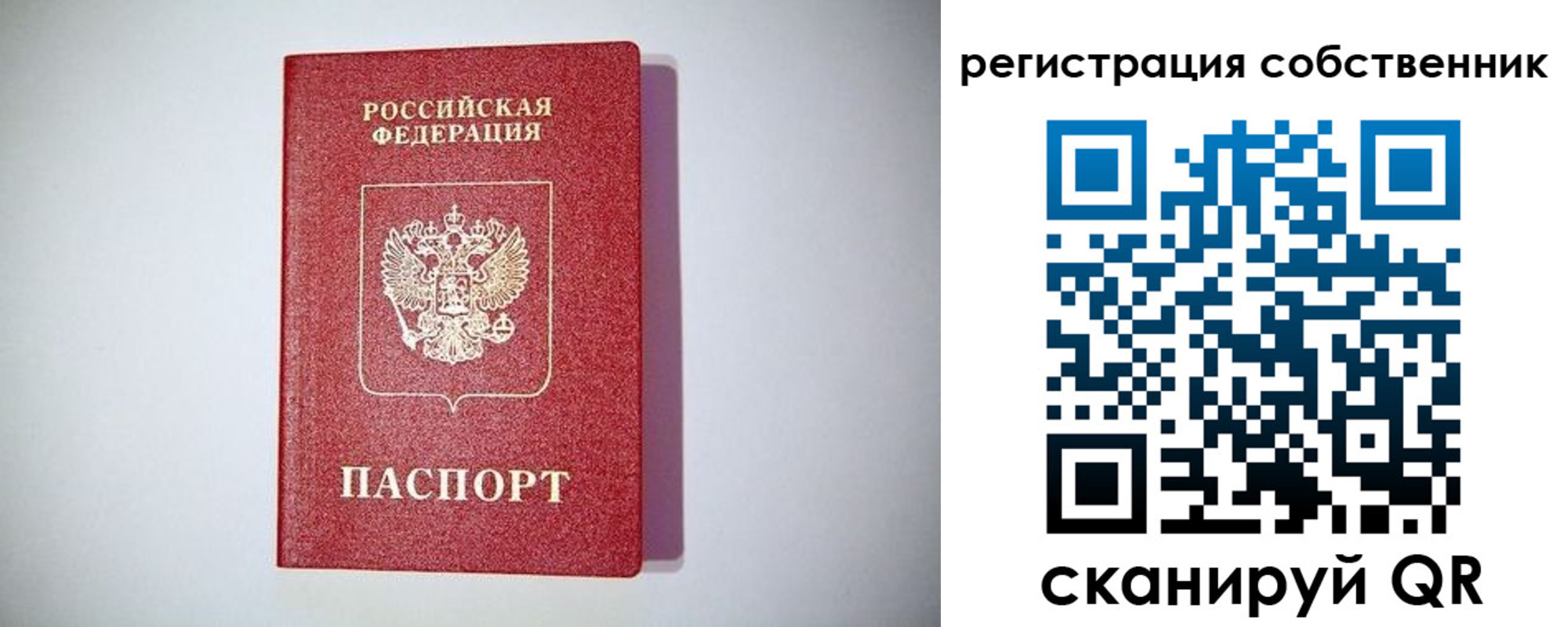 временная регистрация для школы в Жердевке